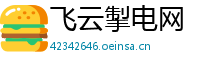 飞云掣电网